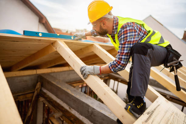 Best Roof Gutter Cleaning  in Rome City, IN