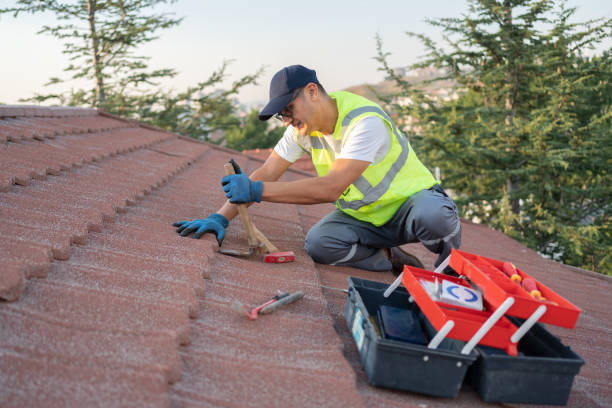 Best Residential Roofing Contractor  in Rome City, IN