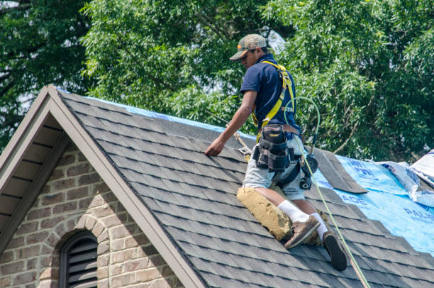 Best Slate Roofing Contractor  in Rome City, IN